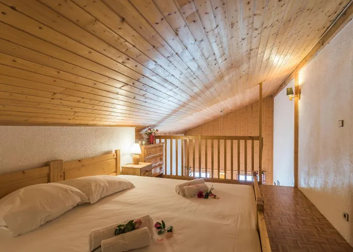 Studio Cosy Proche Centre Avec Parking Et Animaux Admis - Fr-1-517-45