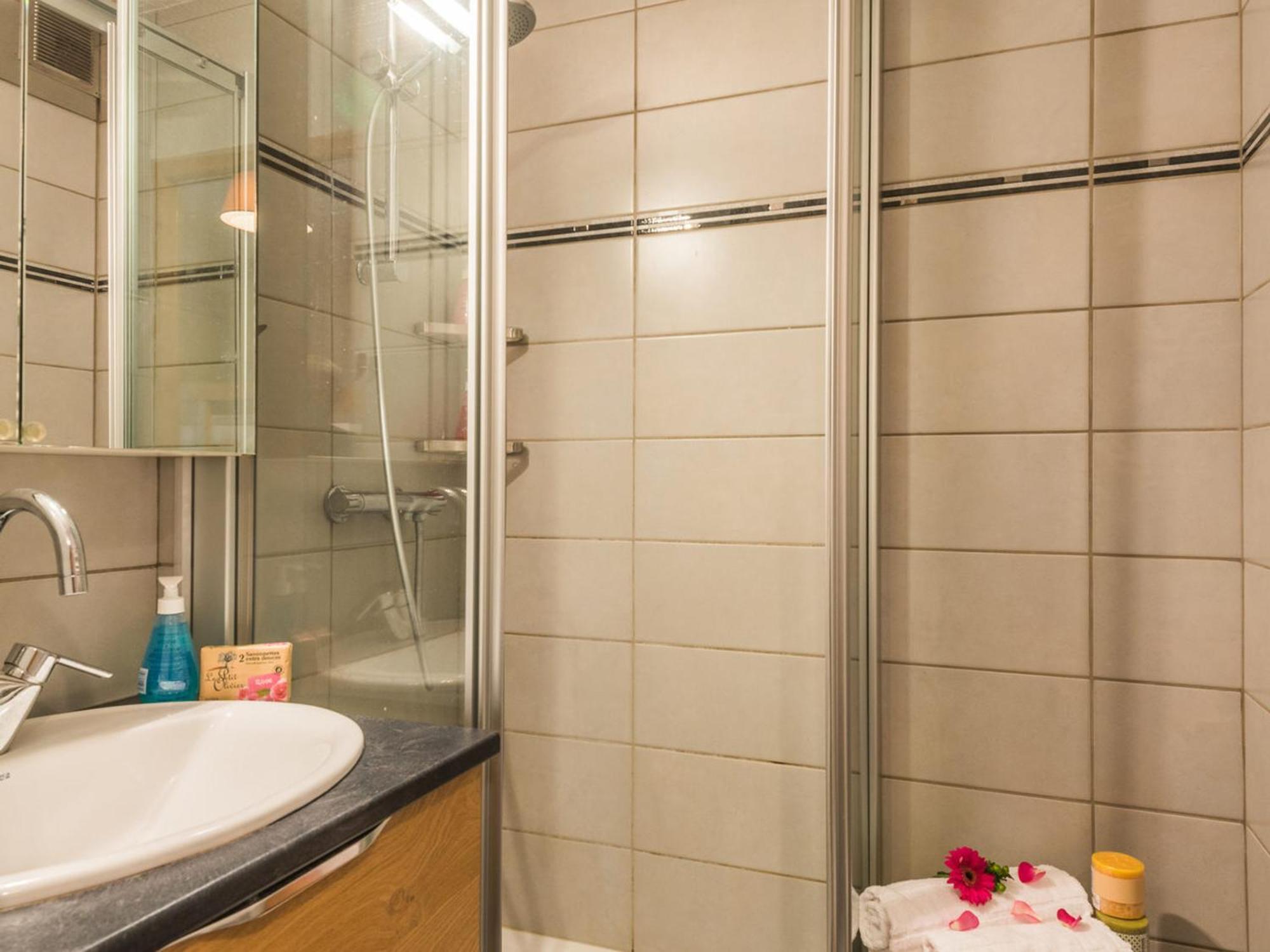 Cosy Proche Centre Avec Parking Et Animaux Admis - Fr-1-517-45 Appartement Chamonix